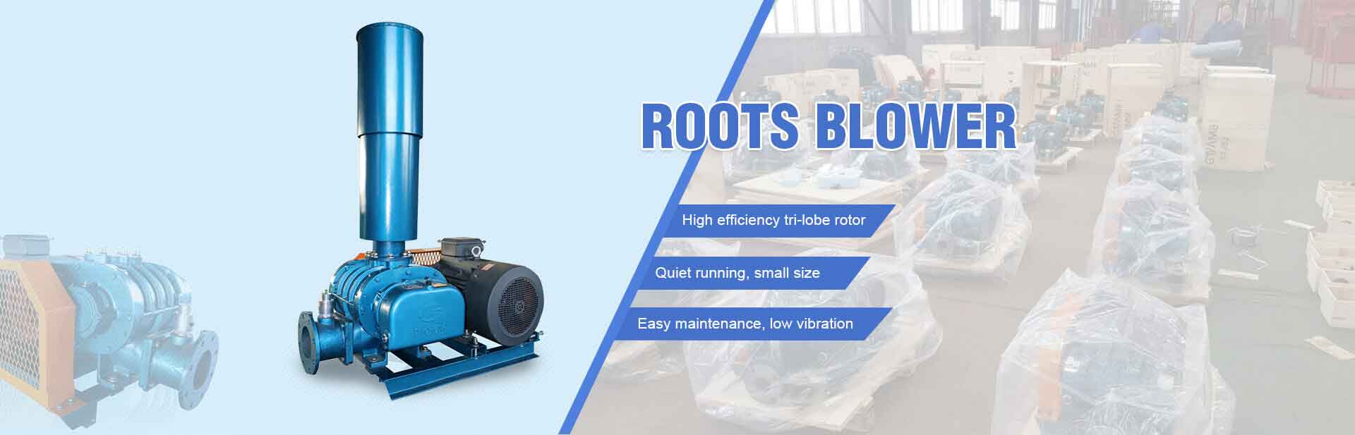 Roots Blower