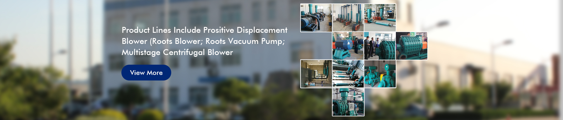 Roots Vacuum Pump