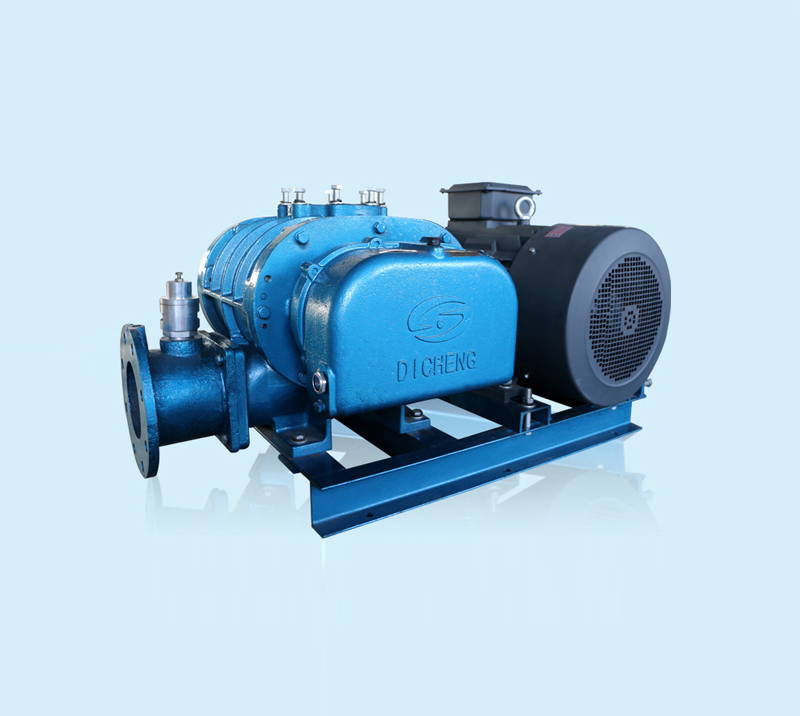 DSR100 Tri-Lobe Roots Blower for Watertreatment 