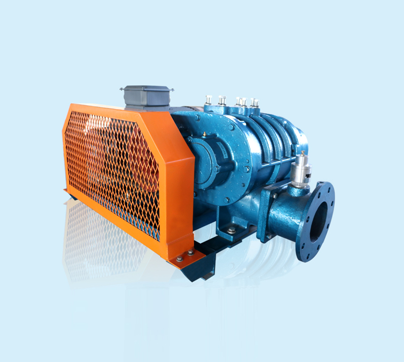 DSR125 Roots Blower for Water Treatment