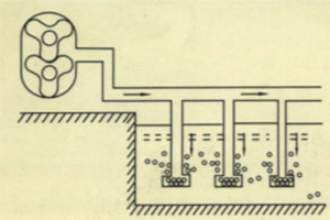 Roots Blower Application