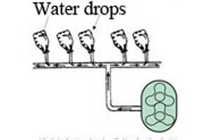 Roots Blower Application