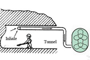 Roots Vacuum Blower Application