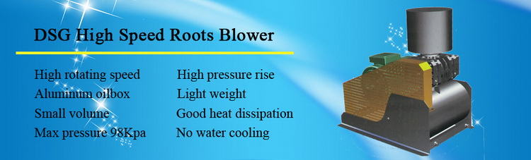 DSG high speed roots blower.jpg