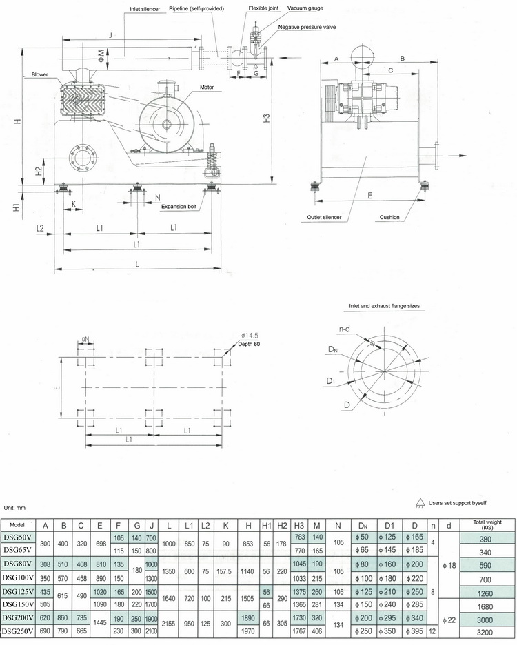 DSG-V Roots Vacuum Blower