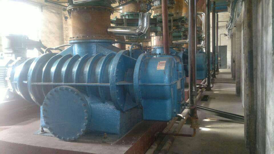 How to choose biogas booster Roots blower ?