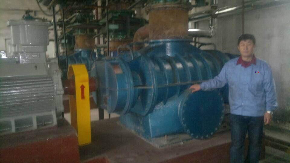 How to choose biogas booster Roots blower ?