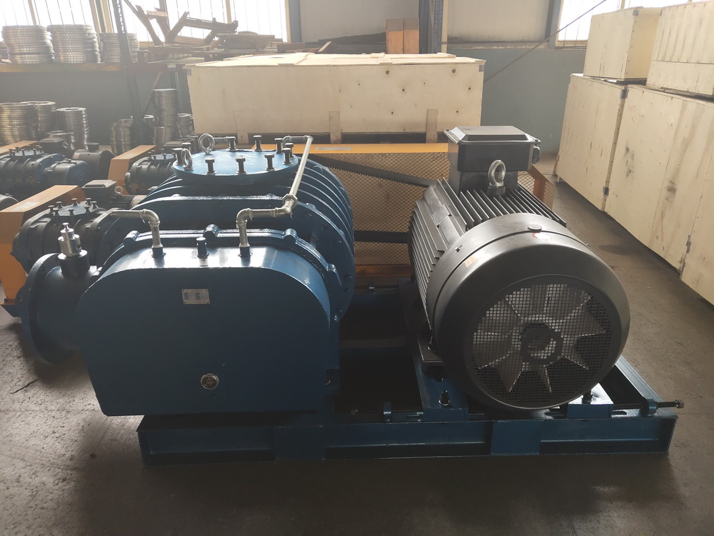 DSR200G Water Cooling Roots blower shipped to Africa