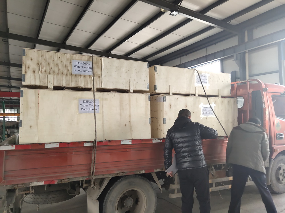 DSR200G Water Cooling Roots blower shipped to Africa