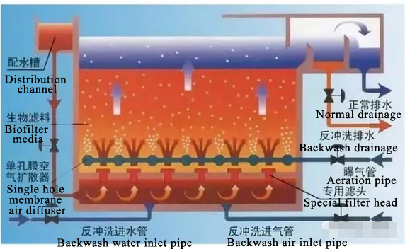 Structure of biological aerated filter