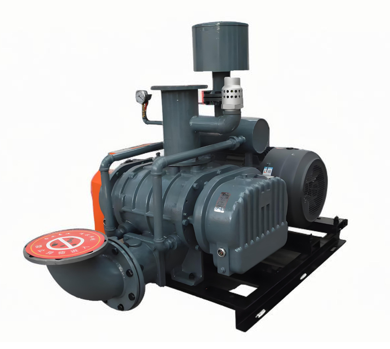 DSR-VH High Pressure Roots Vacuum Blower Pump