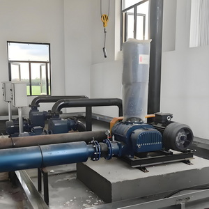 Pneumatic Conveying Roots Blower 415V India