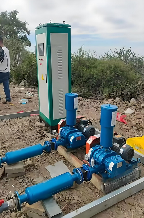 Roots Blower for Integrated Wastewater Treatment | Reliable Aeration Solution | China Manufacturer