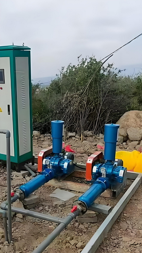 Roots Blower for Integrated Wastewater Treatment | Reliable Aeration Solution | China Manufacturer