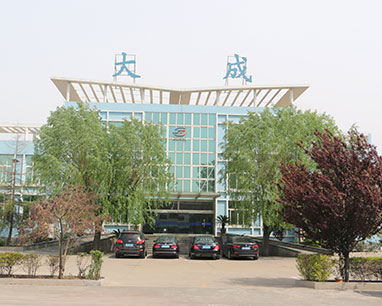 Shandong Dacheng Machinery Technology Co., Ltd