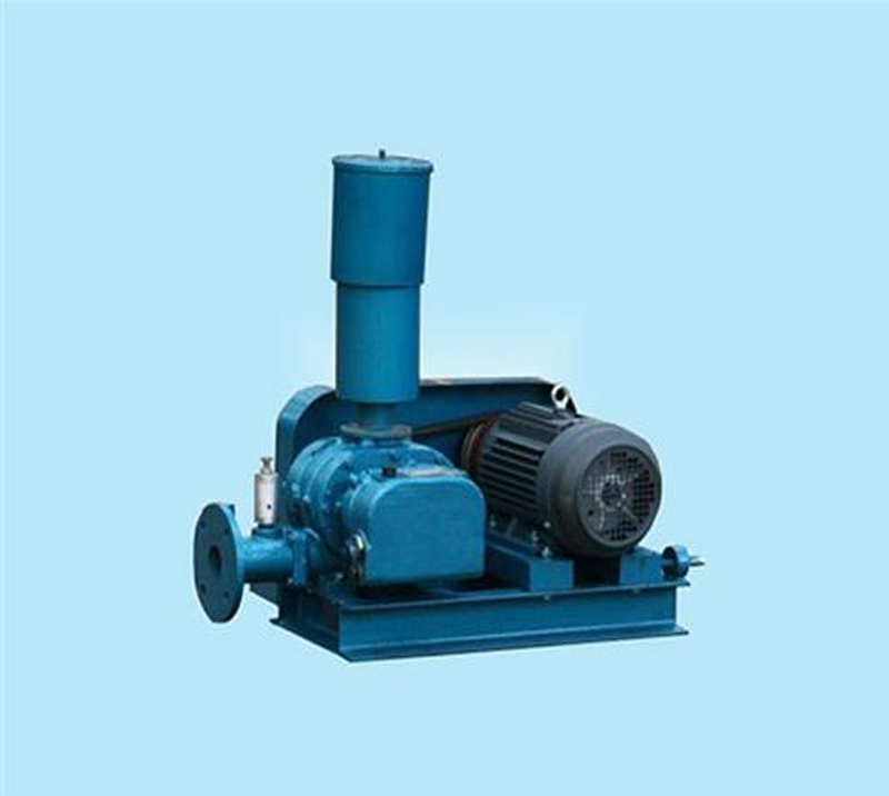 DSR200D Roots Blower for Waste Water Treatment