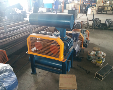 DH-25S Waste Water Treatment Roots Vacuum Blower