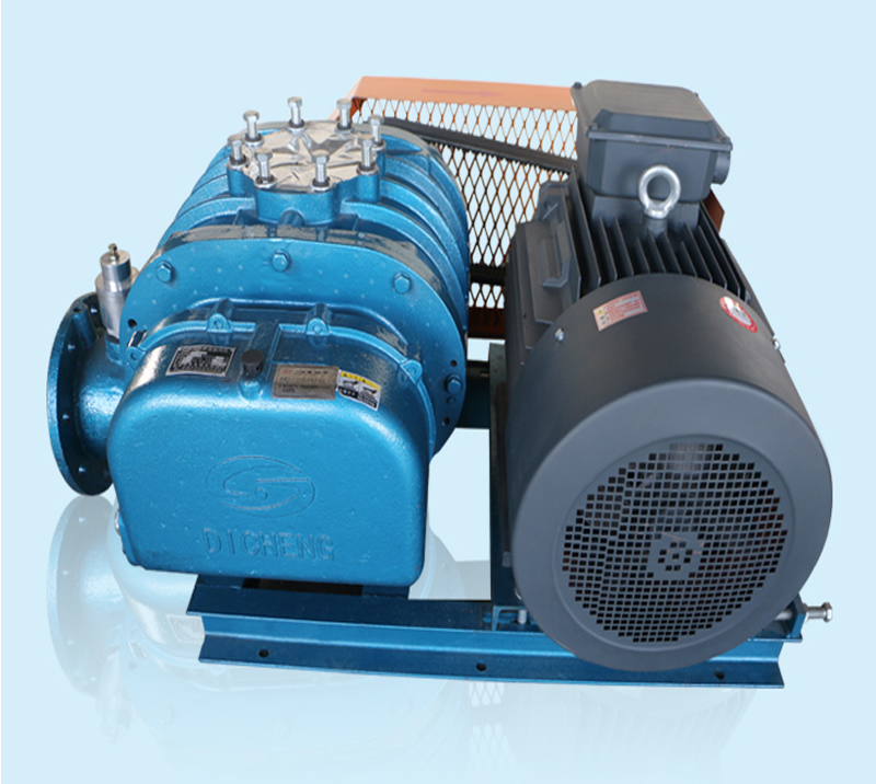 DH-100S high air capacity conveying roots blower