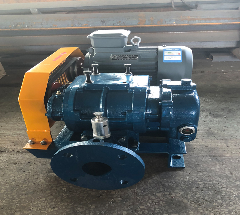 DSR50 Cheap And High Quality positive displacement blower for biogas 