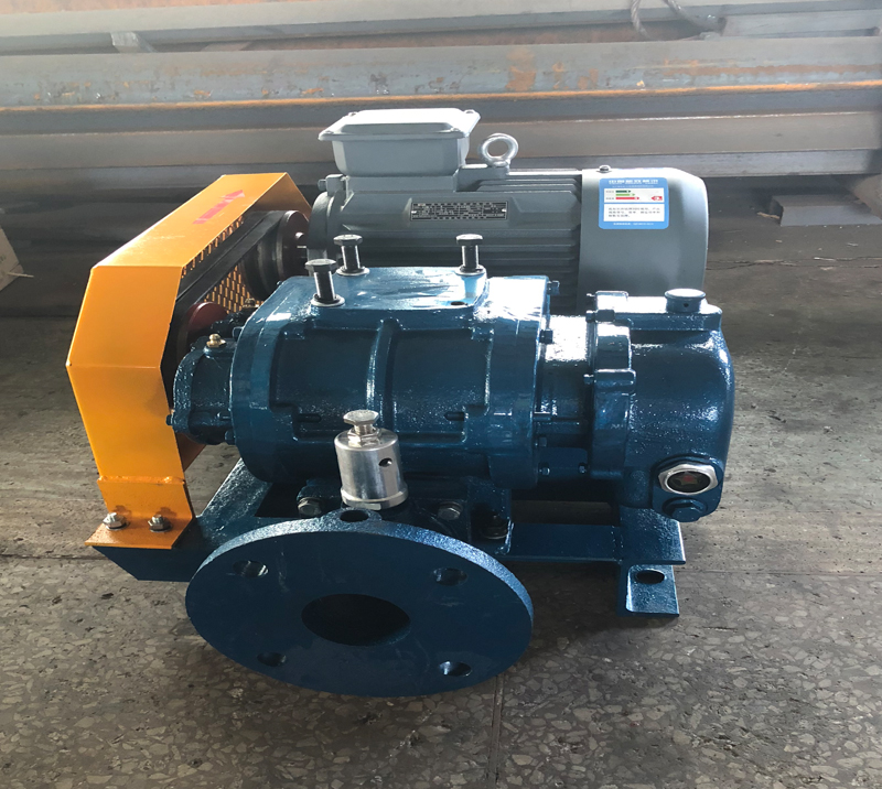 DSR350G Twin Lobe Roots Blower for Effluent Treatment