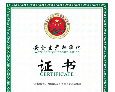 The company passed the roots blower safety standardization production company certification