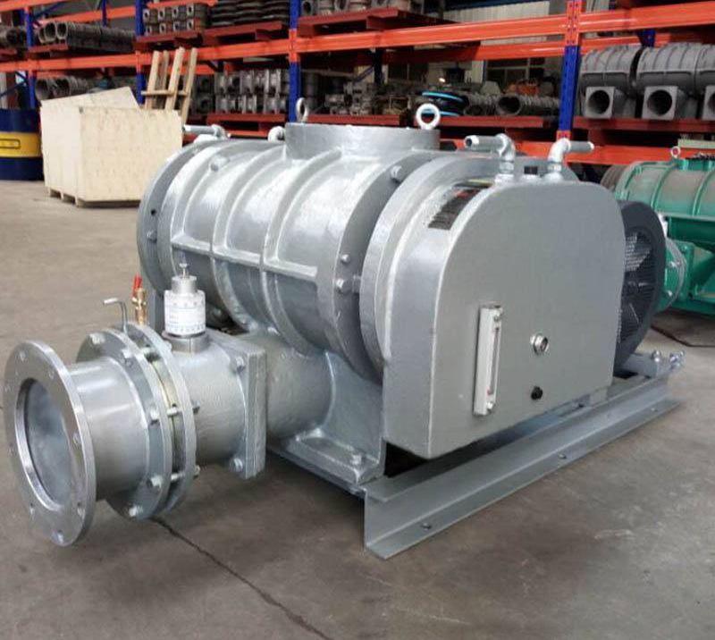 DFSR-WN Series Mvr Roots Steam Compressor Blower