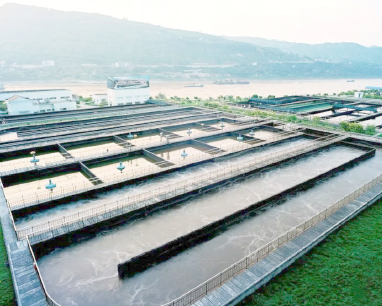 Commissioning of biological aerated filter tank