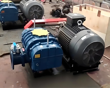 Revolutionize Your Operations with Heavy-Duty High-Pressure Roots Blowers!